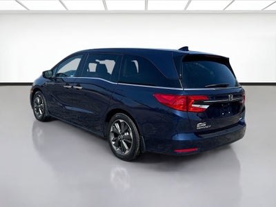2024 Honda Odyssey Elite